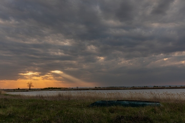Darscho, Neusiedler See