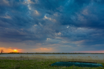 Darscho, Neusiedler See