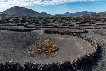 La Geria Lanzarote