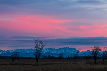 Ampermoos mit Zugspitze