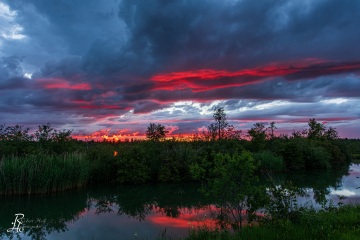 RHO_2020-06-29_Prittriching_6526-HDR