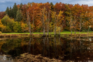RHO_2020-10-24_Seachtn_8427-HDR