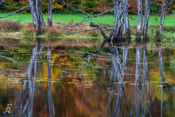 RHO_2020-10-24_Seachtn_8443-HDR