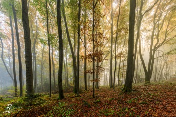 RHO_2021-10-30_Schoenwald_3369-HDR