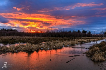 RHO_2022-01-29_Rotes_Moos_0169-HDR-TS
