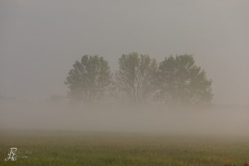 RHO_2022-05-05_Neusiedler_See_5D4_5039