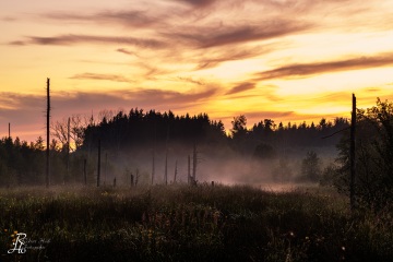 RHO_2022-06-02_Rotes_Moos_0210-HDR