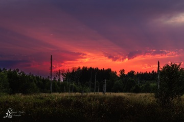 LIghtshow im Moor