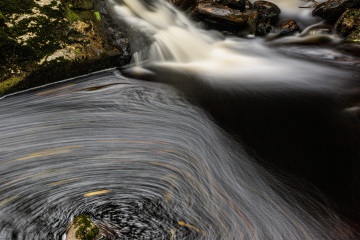 RHO_2022-10-01_Bayer_Wald_R5_9832