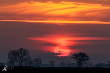 RHO_2023-04-22_Neusiedler_See_6537