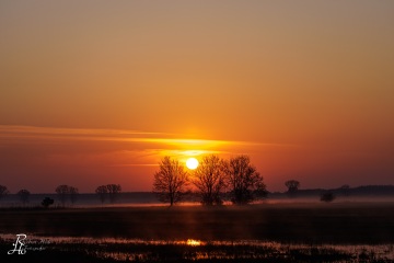 RHO_2023-04-22_Neusiedler_See_6557