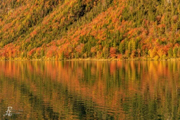 RHO_2023-11-06_Thumsee_4514