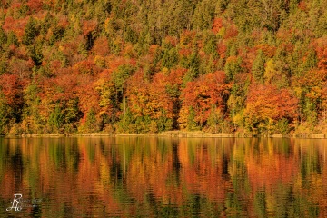 RHO_2023-11-06_Thumsee_4522