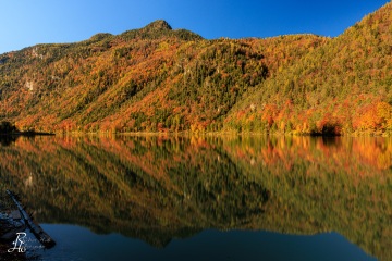 RHO_2023-11-06_Thumsee_4528