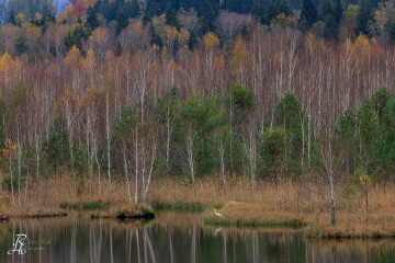 RHO_2023-11-07_Ainringer_Moos_4752