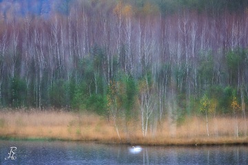 RHO_2023-11-07_Ainringer_Moos_4846