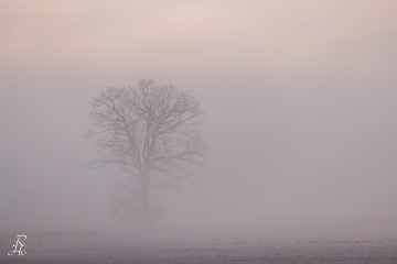 RHO_2024-01-28_unbenannt_7780