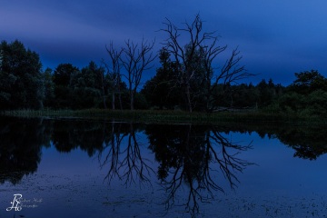 RHO_2024-07-13_Seachtn_1420