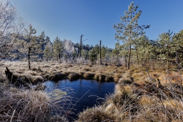Haspelmoor