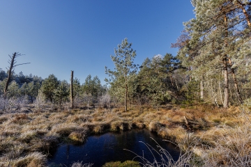 Haspelmoor