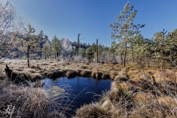 RHO_2024-12-31_unbenannt_8533