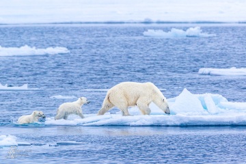 RHO_2016-06-25_Spitzbergen_7D2_3623-bearbeitet