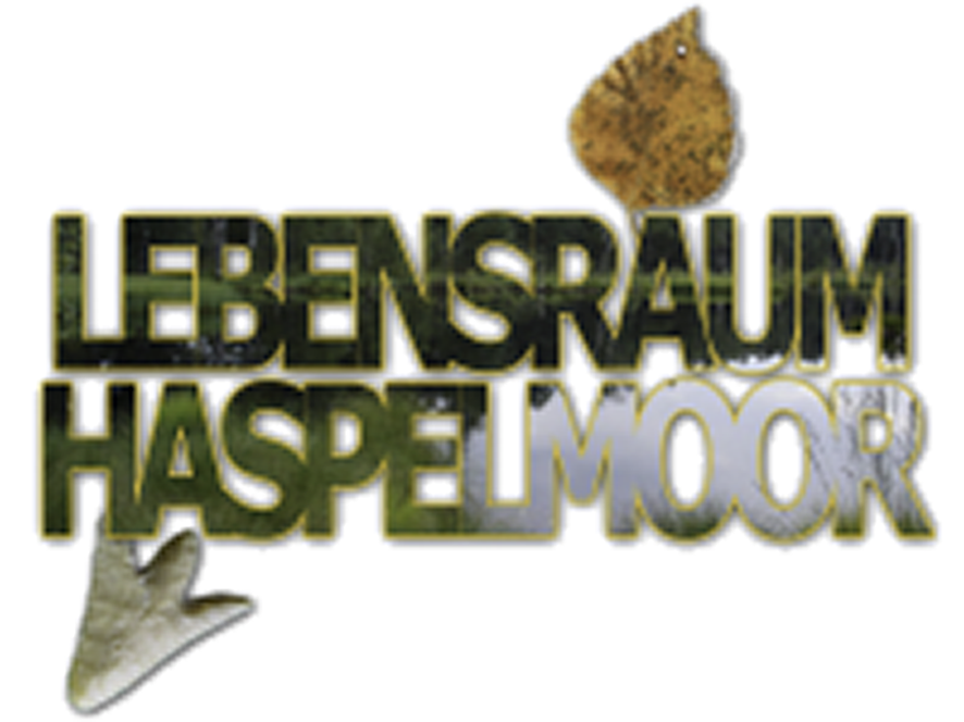 Lebensraum Haspelmoor e.V.